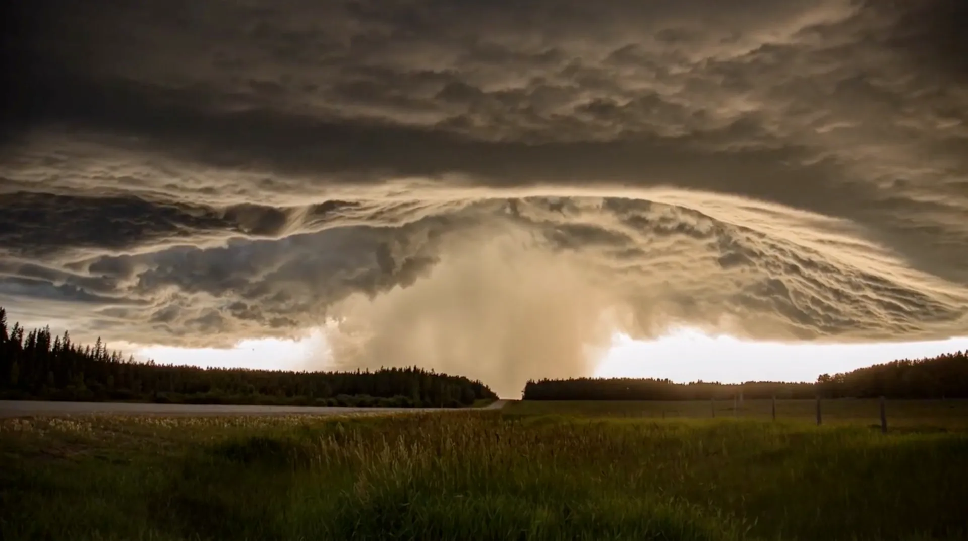 A vast shelf cloud spread across the sky above a dark treeline and an open field.